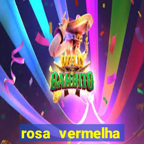 rosa vermelha (letra e cifra)